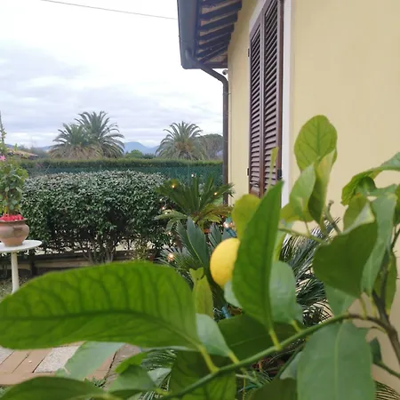 Panzió Il Gelsomino 3*