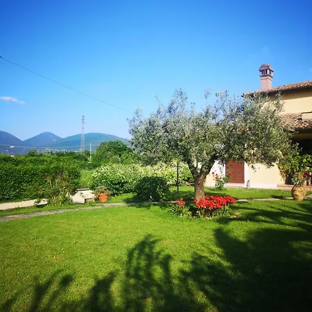 Il Gelsomino Bed & Breakfast *
