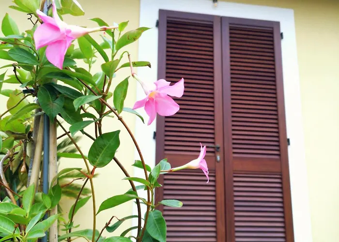 Bed & Breakfast Il Gelsomino